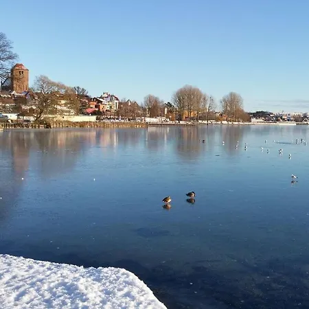 Mozartmansarde アパート *